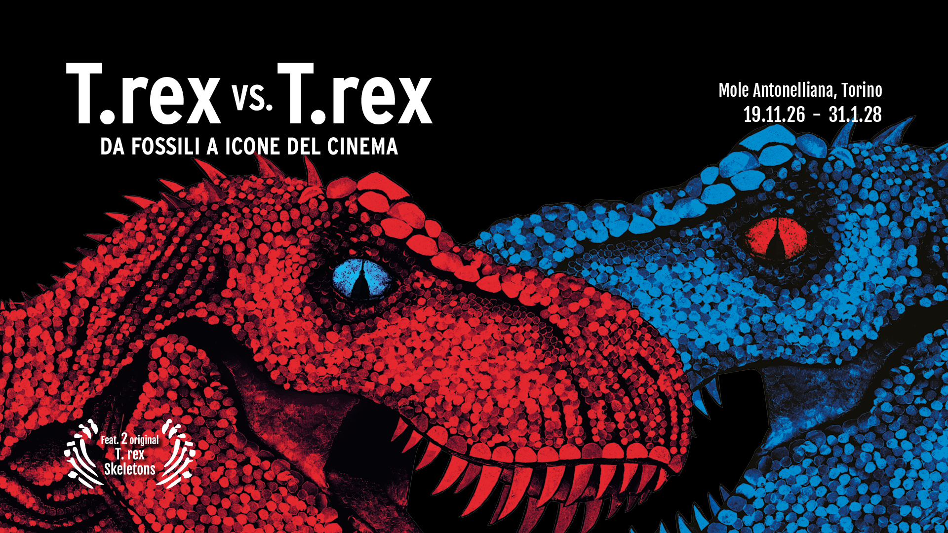 T. rex vs T. rex immagine