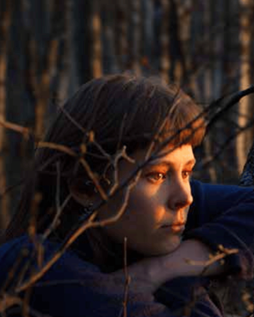 Once upon a time in a forest