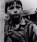 Per MAGNIFICHE VISIONI. Festival Permanente del Film Restaurato, Kes di Ken Loach