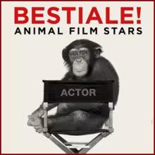 BESTIALE! ANIMAL FILM STARS